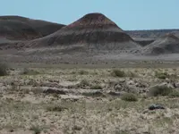 DSCN0358.webp