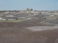 DSCN0369.webp