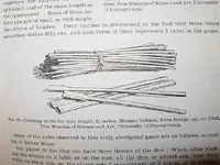 sticks 002.webp