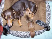 100_1369.webp