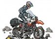 avatar_46548.webp