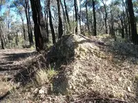 100_0044.webp