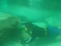 diver-dave-5-2010-web (3).webp