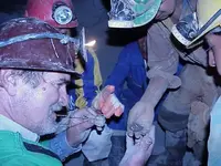 7 Miners looking at Coins Bright.webp