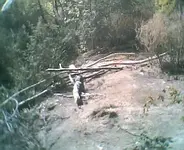 china003.webp