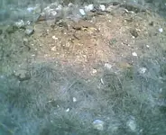 china009.webp