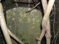 DSCF0351.webp