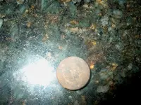 Flat button 007 (Small).webp