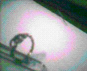 Cap0002.GIF