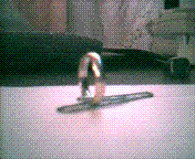 Cap0003.GIF