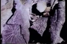 Stone Markers1.webp