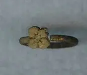 Flower ring.webp