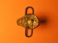tinkerbellring.webp