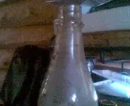mus 351.webp