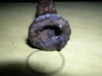 wroughtironthingywithscrews (2).webp