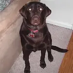 CharlieA.webp