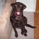 CharlieB.webp