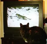GraceTV.webp