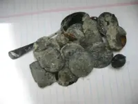 Coins 004.webp
