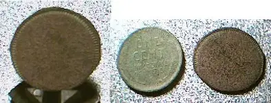 PennyYNCT.webp
