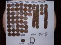 Memorial Day Hunt.webp