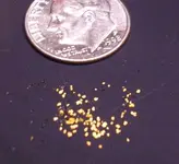 Ohio gold.webp