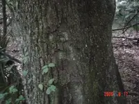 DSC04134.webp