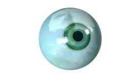 eyeball[1].webp