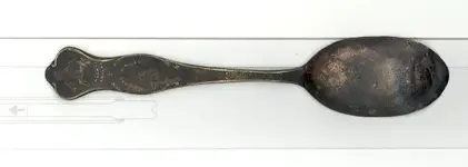spoonback.webp