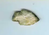 adena1.webp