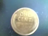 51 D wht.webp