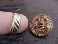 gold ring & button.webp