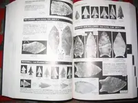 111_1180.webp