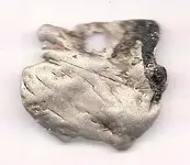 1st hunt object 1.webp
