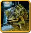 louie the lizard.webp