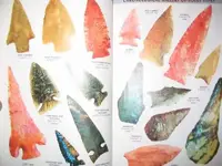 111_1182.webp