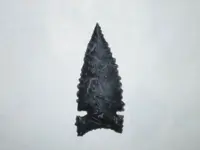 Resize of P2230020.webp