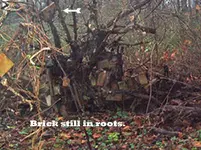 brickpic.webp