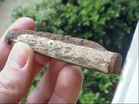 knife.webp