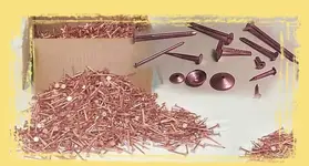 copper-nails-header.webp