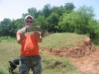 bass.webp