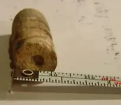 bullet 002.webp