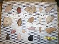 100_0690.webp