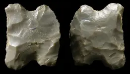 scraper-703.webp