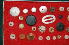Buttons (1).webp