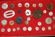 Buttons (2).webp