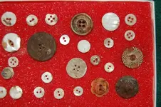 Buttons (3).webp