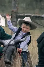 bullrider.webp