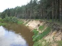 2e85207f13dc.webp