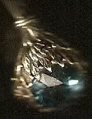 scan0036.webp